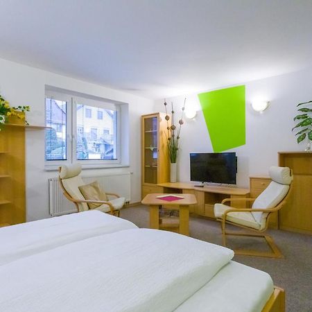 Pension Kraus Litomyšl Exteriér fotografie